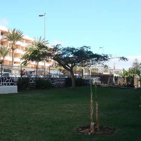 Los Cactus Playa del Ingles  Bagian luar foto