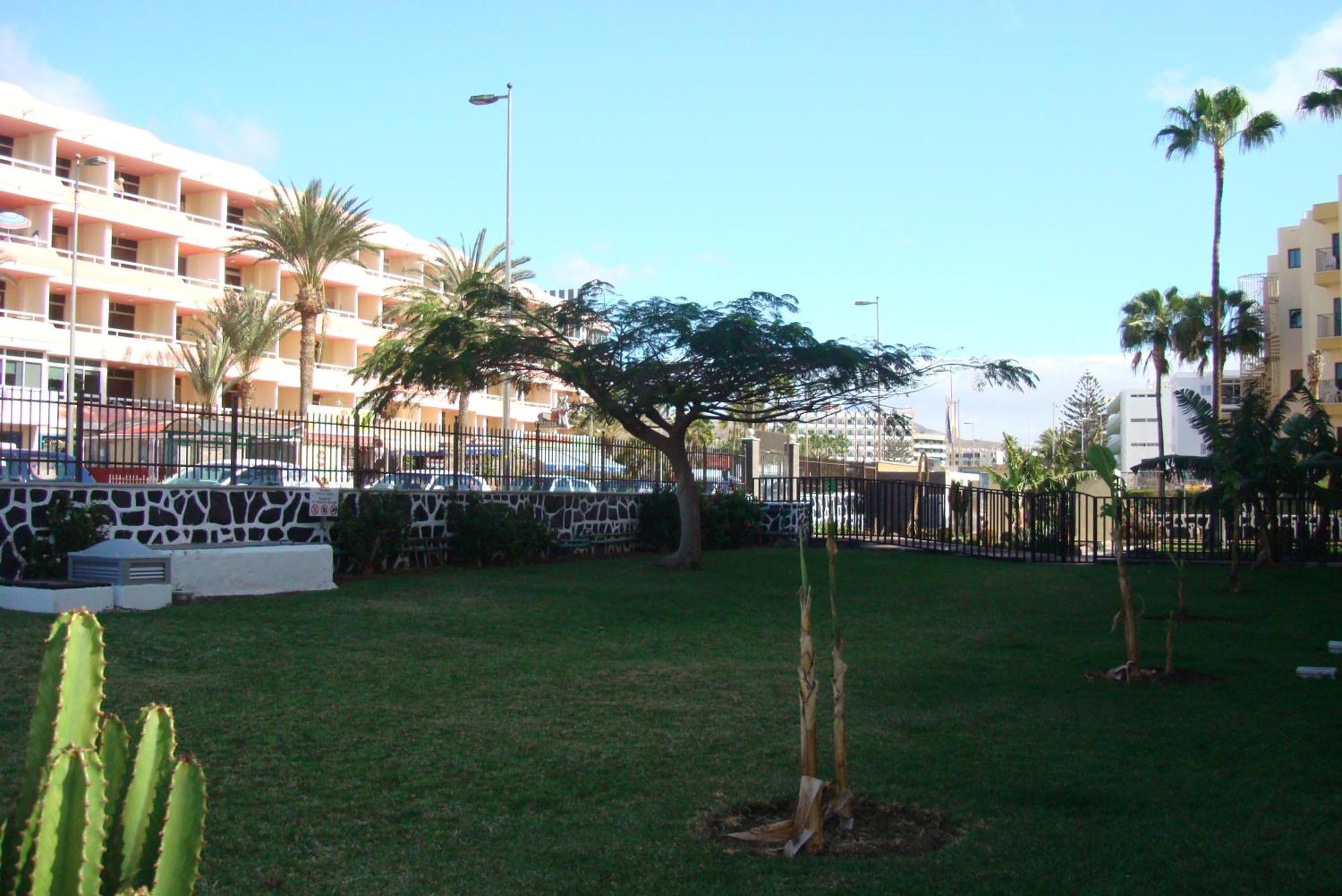 Los Cactus Playa del Ingles  Bagian luar foto